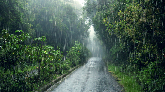 {"id":2,"name":"monsoon","bangla_name":"\u09ac\u09b0\u09cd\u09b7\u09be","slug":"monsoon","start_date":"2025-07-18","end_date":"2025-07-26","quote":null,"is_current":0,"feature_image":"https:\/\/rituchitra.cloud\/storage\/seasons\/UIYqFZikzdUjA4ExW60Dnw7MlbX9UZrMgtYUptVJ.jpg","created_at":"2025-07-04T13:05:10.000000Z","updated_at":"2025-07-04T13:05:10.000000Z"}